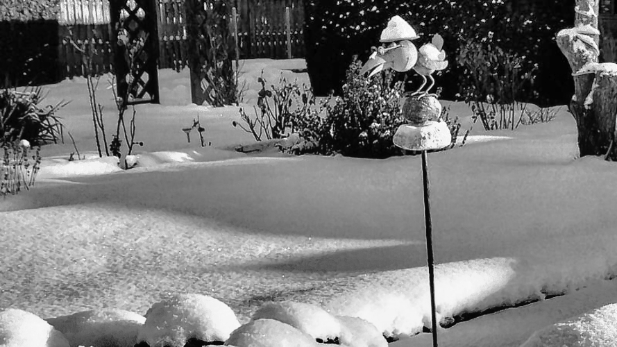 IMG_20170106_143256_sw IMG_20170106_143256_sw