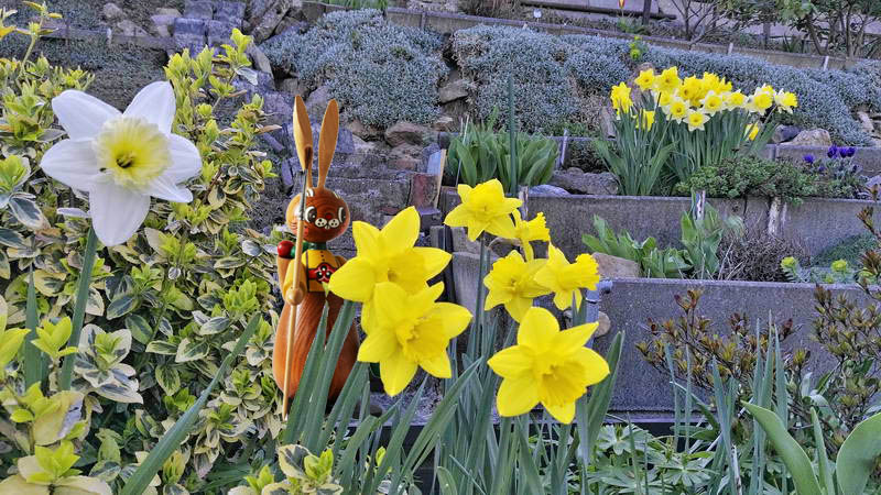 IMG_20170401_162310-2 IMG_20170401_162310-2