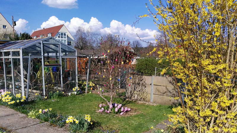 IMG_20170401_162423 IMG_20170401_162423