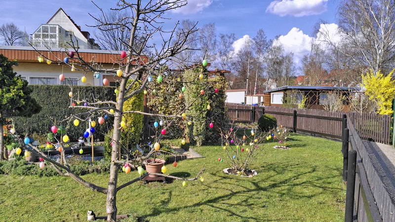 IMG_20170401_162557-2 IMG_20170401_162557-2