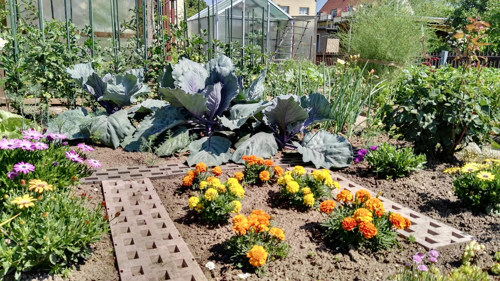 IMG_20170621_110617419 IMG_20170621_110617419