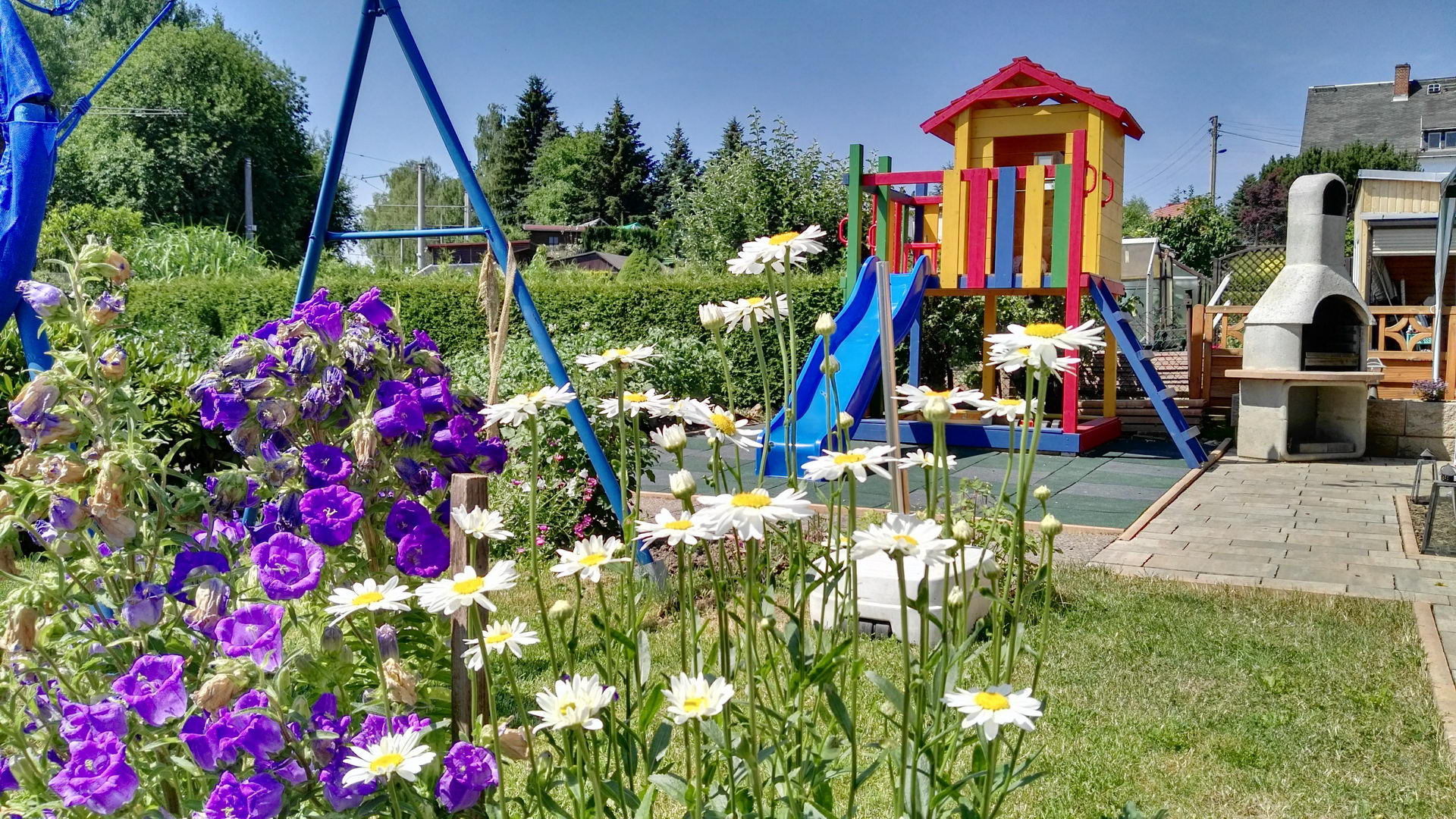 IMG_20170621_110803047 IMG_20170621_110803047