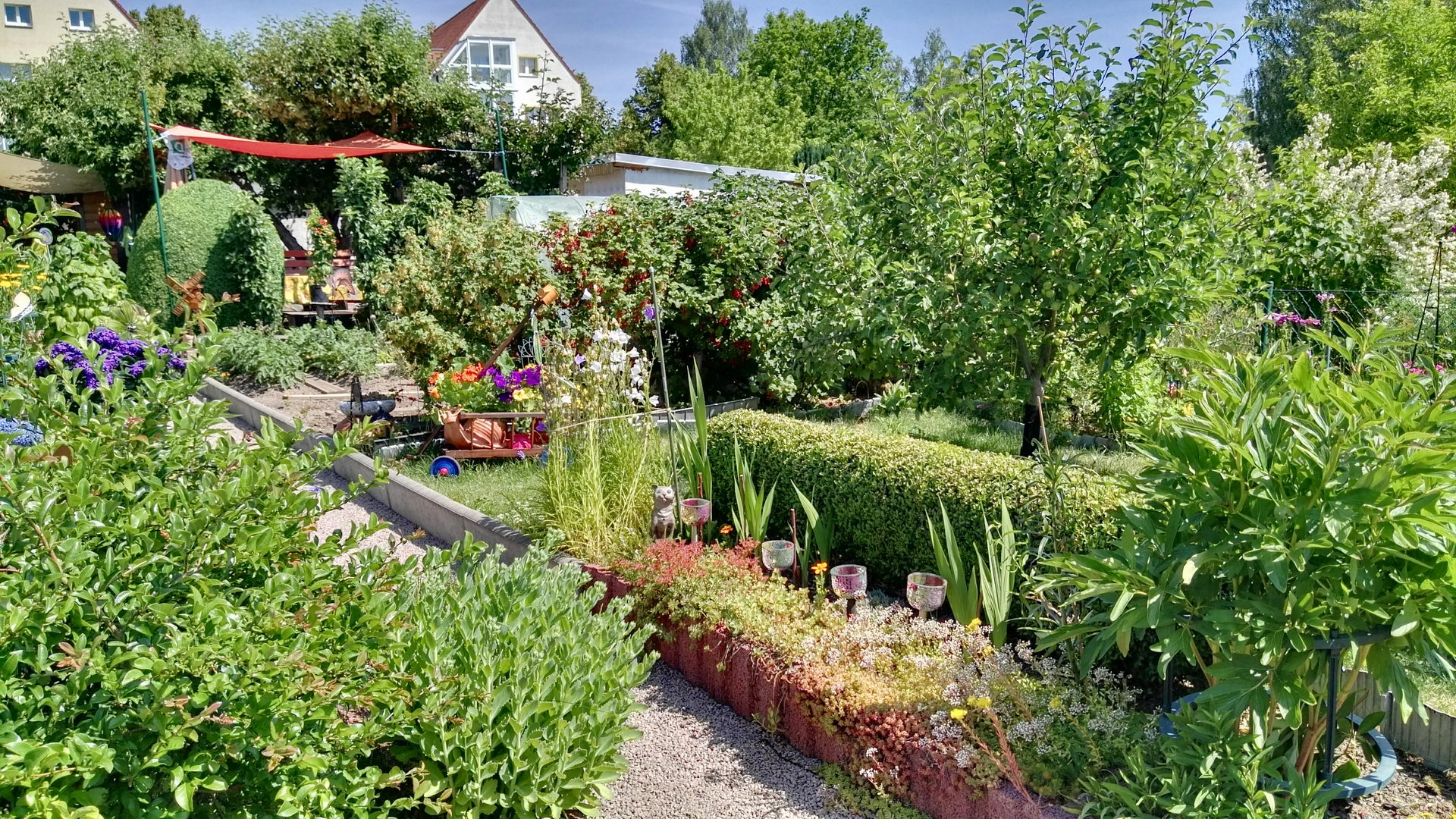 IMG_20170621_111128172 IMG_20170621_111128172