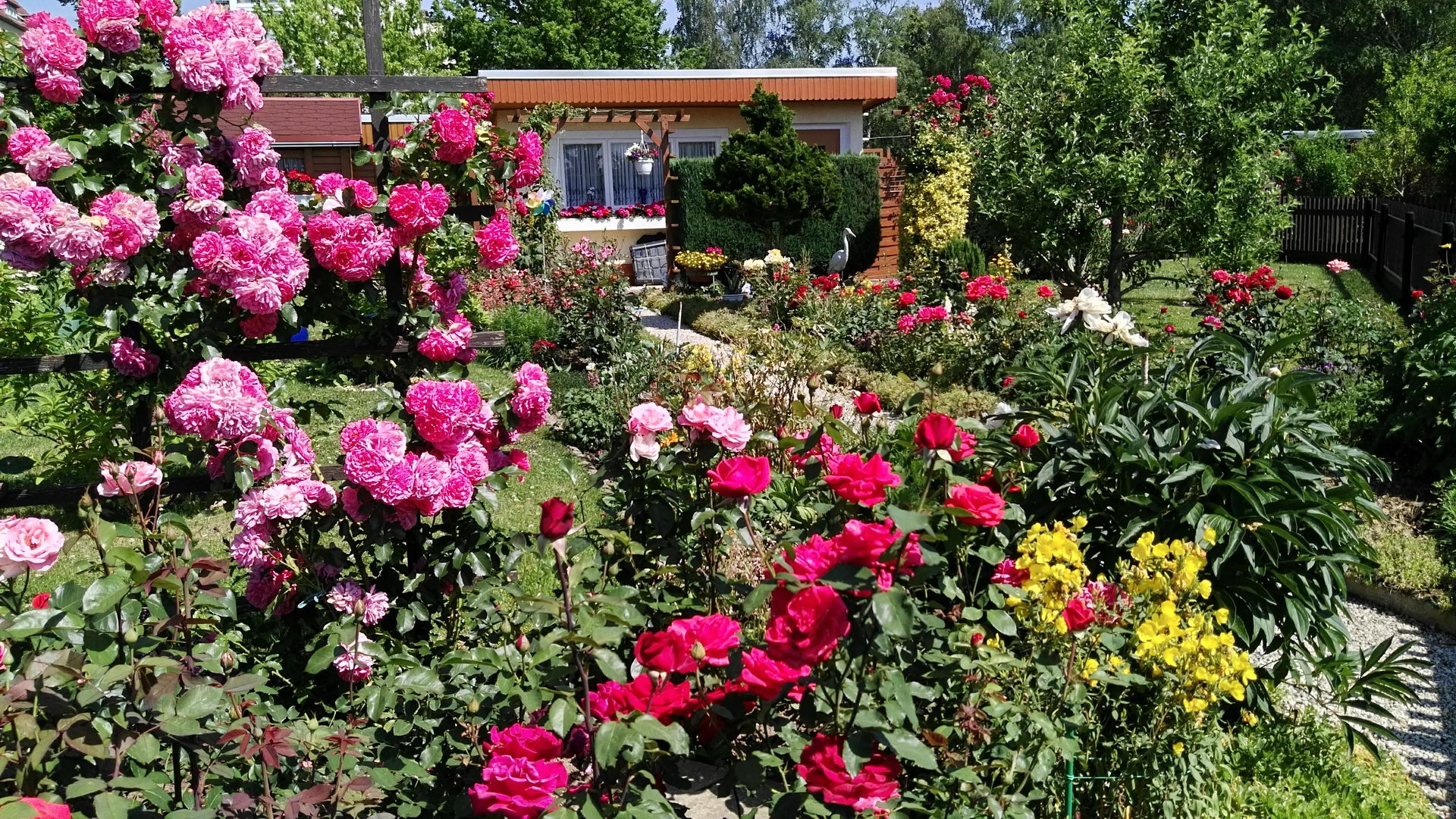 IMG_20170621_111238563 IMG_20170621_111238563