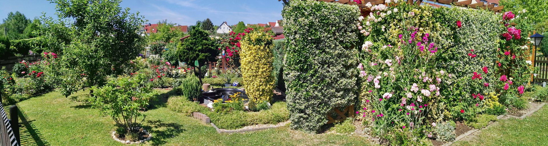 IMG_20170621_111558 IMG_20170621_111558