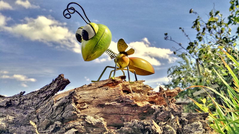 IMG_20170729_153723355-2 IMG_20170729_153723355-2