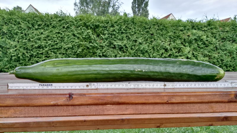 IMG_20170730_190017104 IMG_20170730_190017104