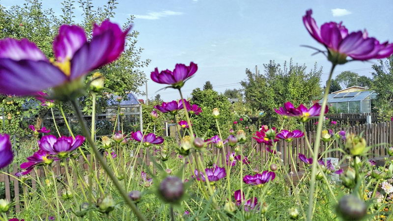 IMG_20170801_182409519-2 IMG_20170801_182409519-2