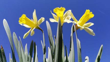 IMG_20180408_115621 IMG_20180408_115621