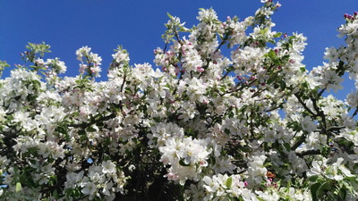 IMG_20190424_131451 IMG_20190424_131451