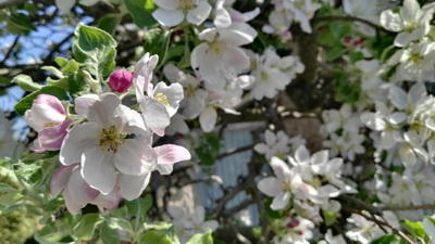 IMG_20190424_131607 IMG_20190424_131607