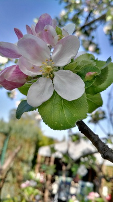 IMG_20190424_171248 IMG_20190424_171248