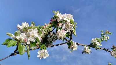 IMG_20190424_171348 IMG_20190424_171348