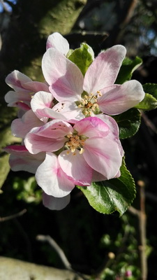 IMG_20190424_171406 IMG_20190424_171406