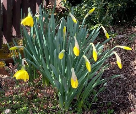 Ostern2021_1 img00012