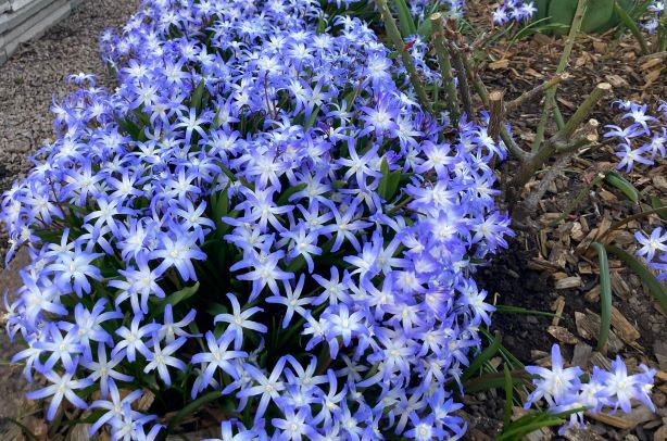 Ostern2021_2 img00025