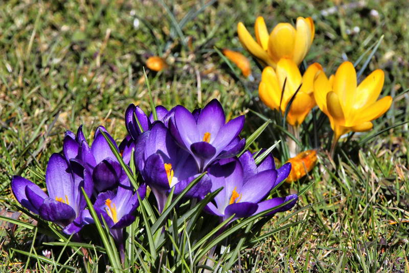 IMG_9431-2_Bildgröße ändern IMG_9431-2_Bildgröße ändern