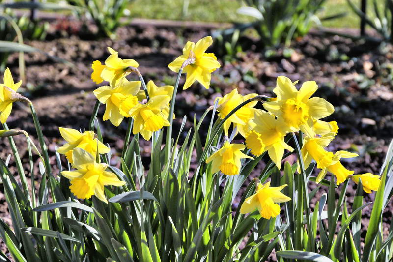 IMG_9432-2_Bildgröße ändern IMG_9432-2_Bildgröße ändern