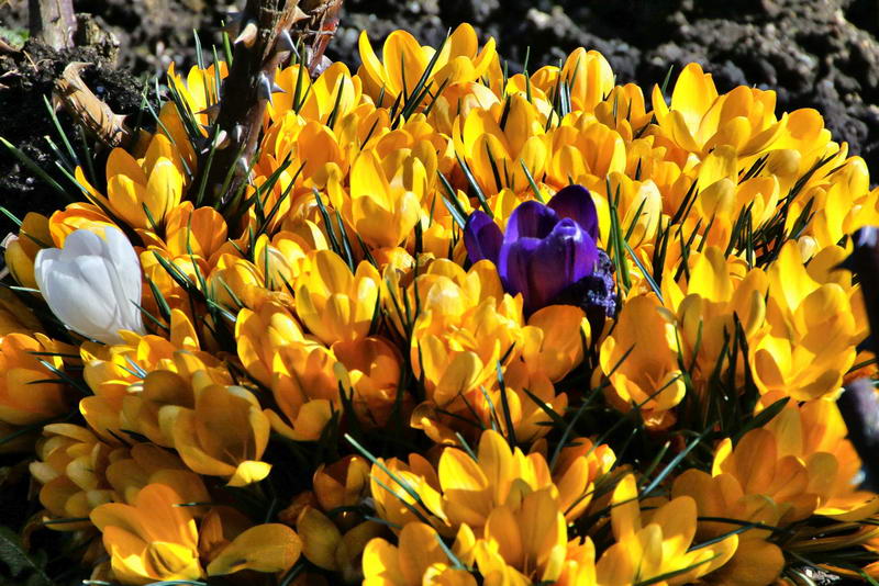 IMG_9433-2_Bildgröße ändern IMG_9433-2_Bildgröße ändern