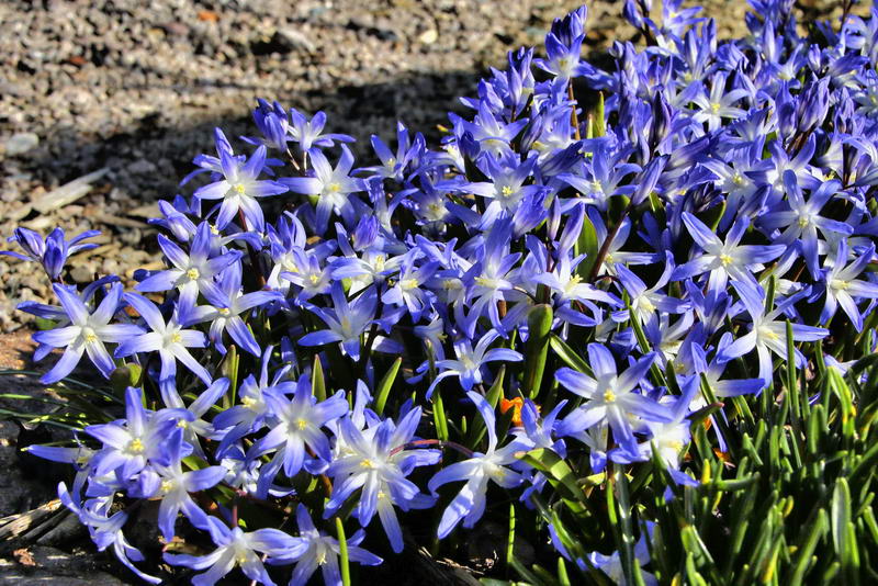 IMG_9435-2_Bildgröße ändern IMG_9435-2_Bildgröße ändern