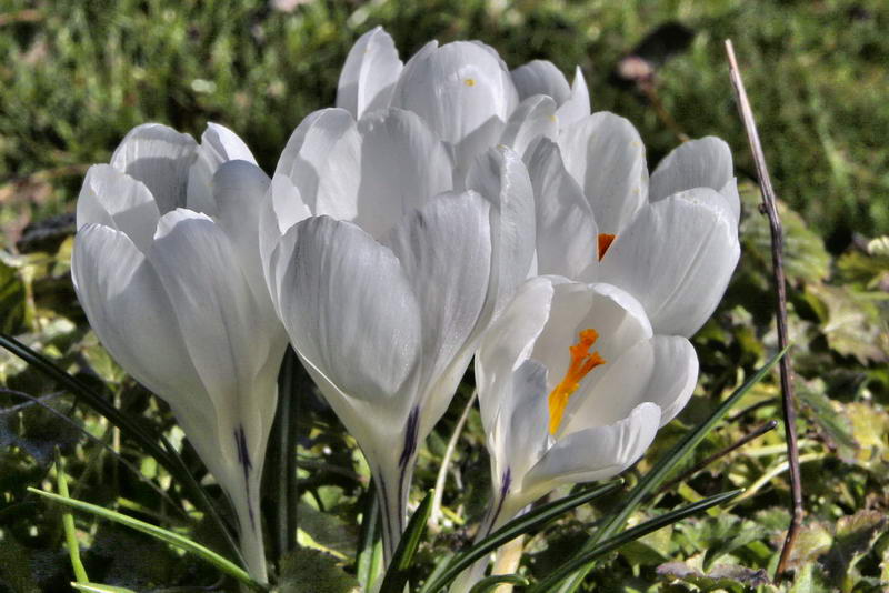 IMG_9436-2_Bildgröße ändern IMG_9436-2_Bildgröße ändern