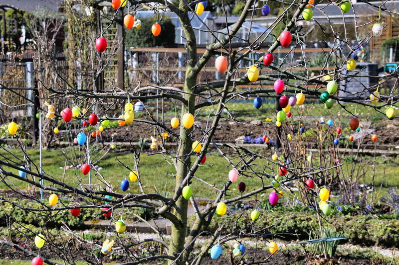 IMG_9450-2_Bildgröße ändern IMG_9450-2_Bildgröße ändern