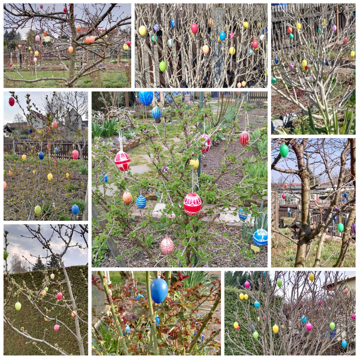 Ostereierbaum_Garten Ostereierbaum_Garten